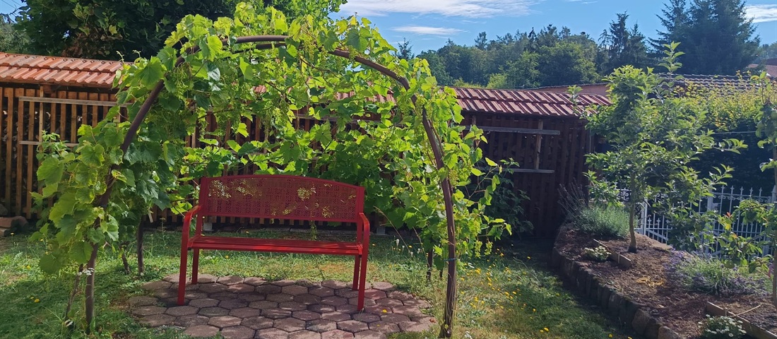 Außenbereich der Pension Stern